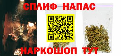 гашик Волжский