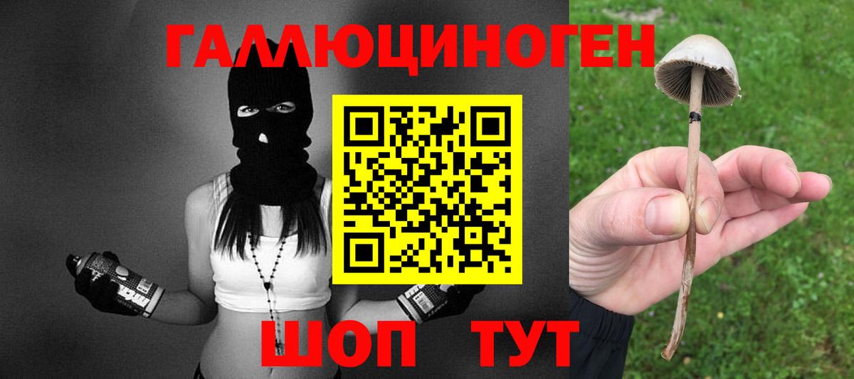Галлюциногенные грибы GOLDEN TEACHER Нововоронеж