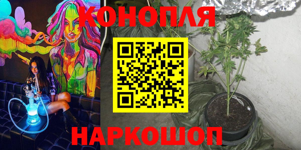 Бошки Шишки SATIVA & INDICA  Каннабис THC 21%  Вход с VPN  Нововоронеж  Конопля White Widow 