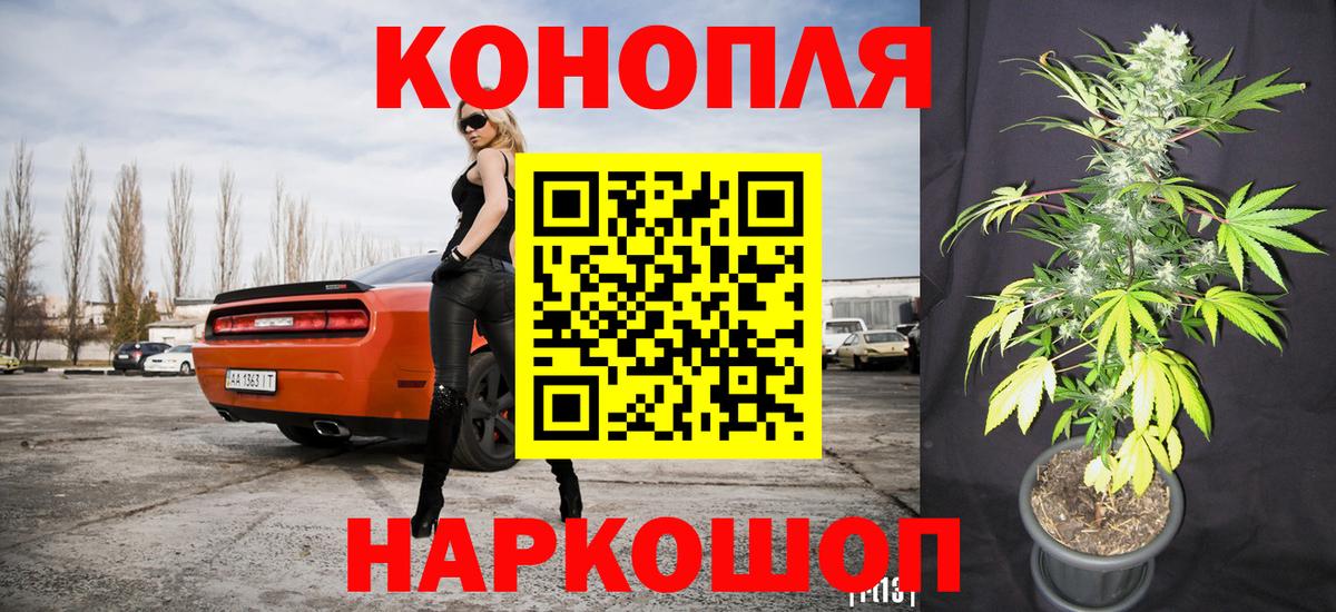 Бошки марихуана Bruce Banner Нововоронеж